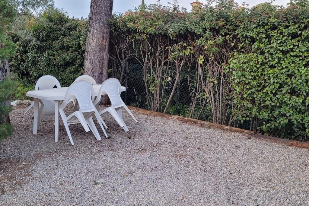 Appartement Dans Une Villa Au Coeur De La Provence Trans-en-Provence Kültér fotó